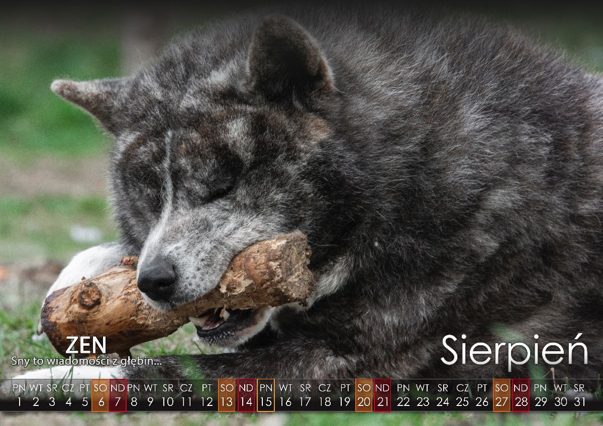 08 Sierpien2022 copy